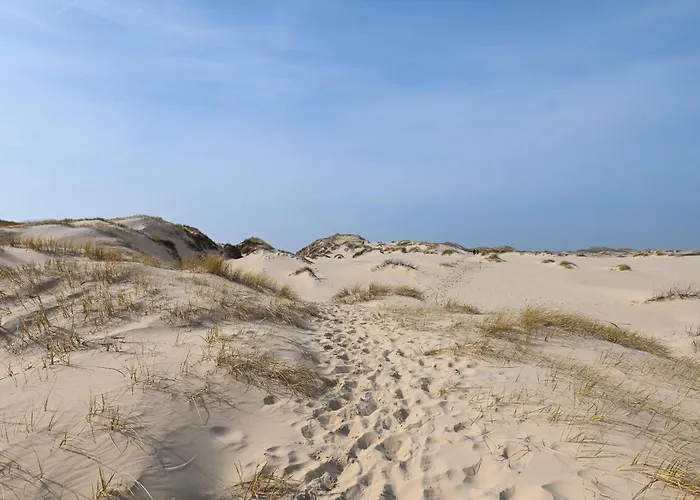 Casa vacanze Sleep Space 1 - Tiny Spot Amrum *